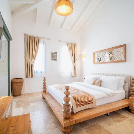 Zaena Hotel *