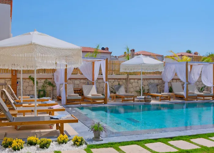 Zaena * Alacati