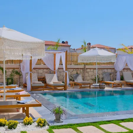 Zaena * Alaçatı
