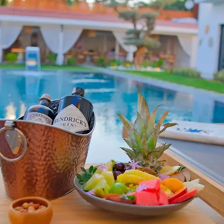 Hotel Zaena *