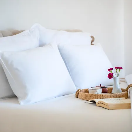 Zaena ホテル アラカティ